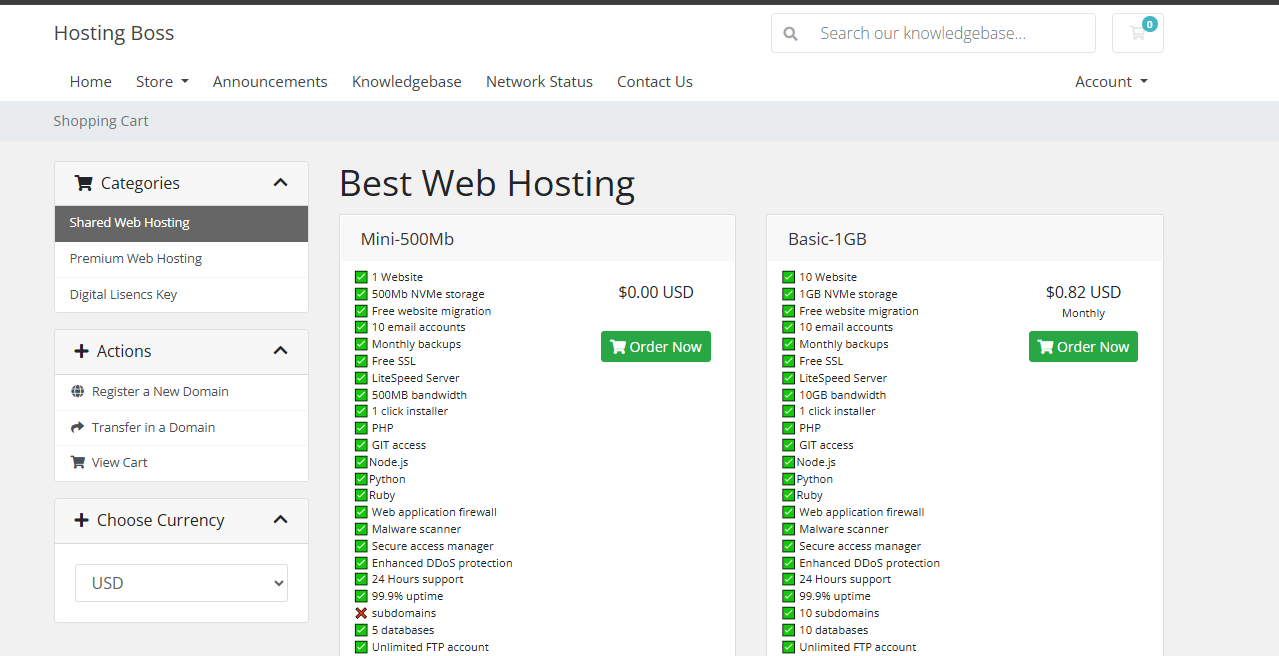 Web Hosting